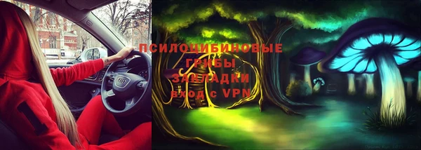 мяу мяу кристалл Няндома