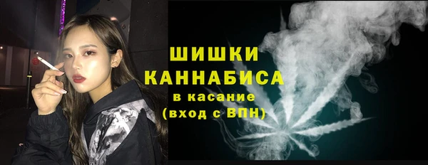 молекула духа Нязепетровск