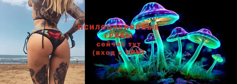 Псилоцибиновые грибы Magic Shrooms  Аркадак 